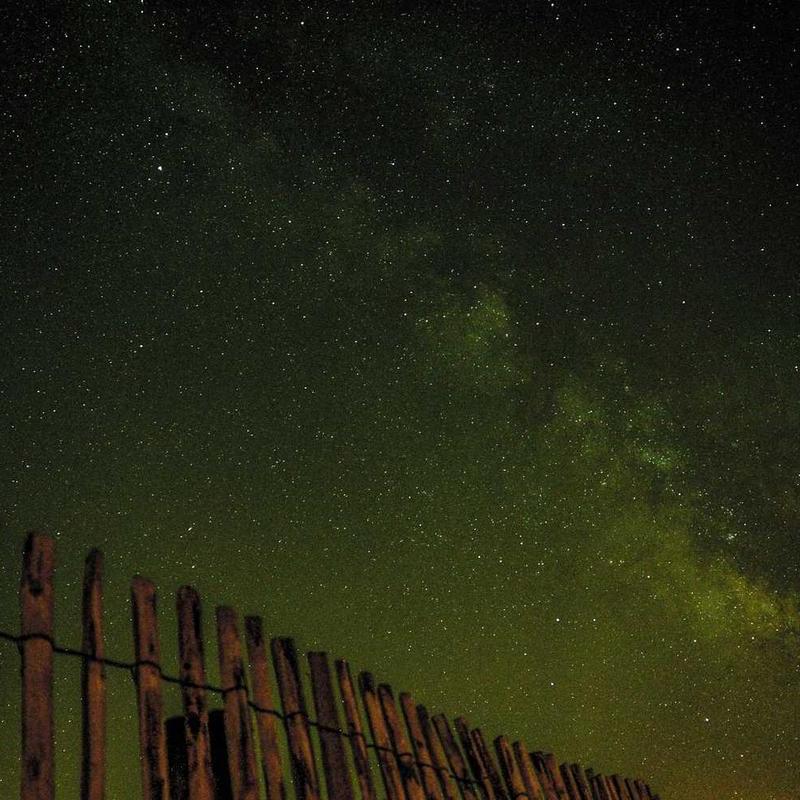 Felis vehicula cras placerat tempus facilisis habitant ornare aliquam diam ad aliquet egestas nunc